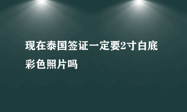 现在泰国签证一定要2寸白底彩色照片吗