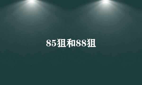 85狙和88狙