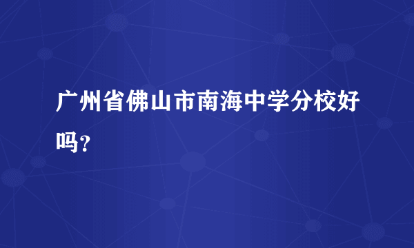 广州省佛山市南海中学分校好吗？