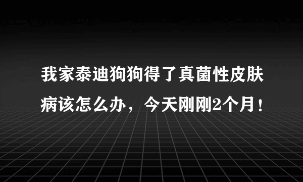 我家泰迪狗狗得了真菌性皮肤病该怎么办，今天刚刚2个月！