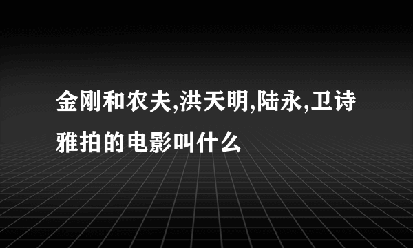 金刚和农夫,洪天明,陆永,卫诗雅拍的电影叫什么