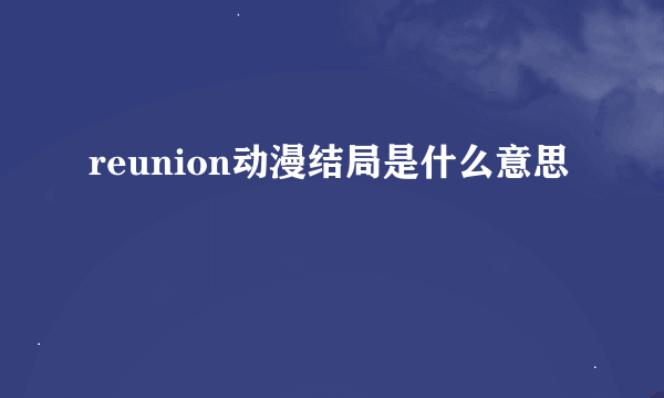 reunion动漫结局是什么意思