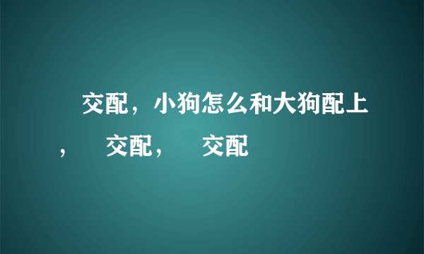 狥交配，小狗怎么和大狗配上，狥交配，狥交配