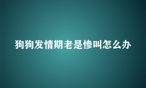 狗狗发情期老是惨叫怎么办