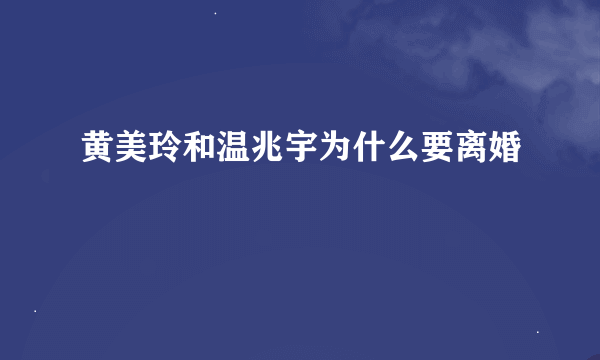 黄美玲和温兆宇为什么要离婚