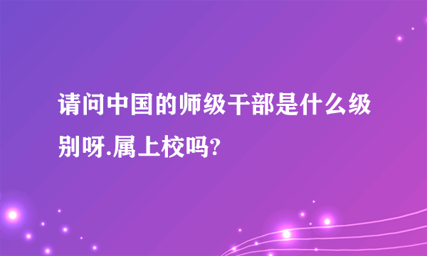 请问中国的师级干部是什么级别呀.属上校吗?