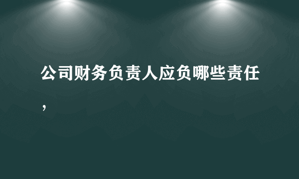 公司财务负责人应负哪些责任，