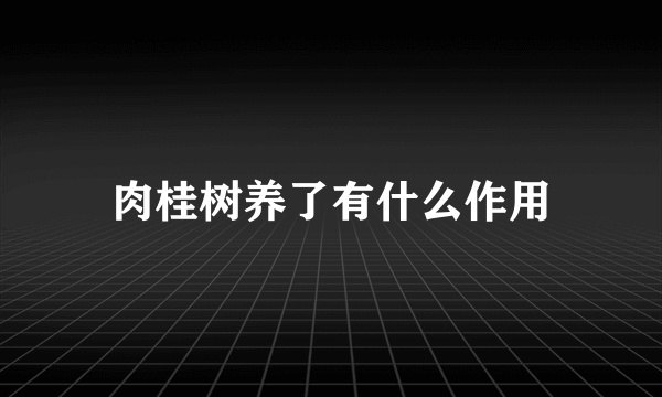 肉桂树养了有什么作用