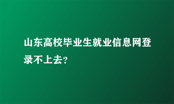 山东高校毕业生就业信息网登录不上去？