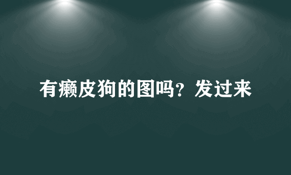 有癞皮狗的图吗？发过来