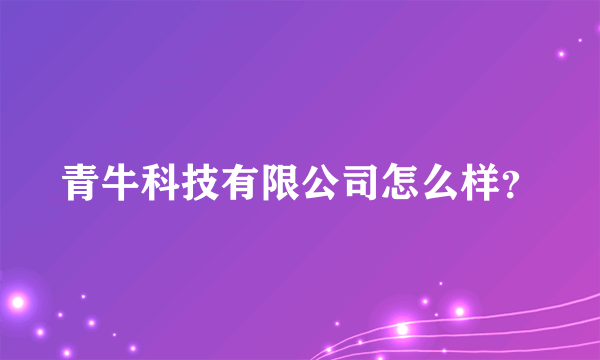 青牛科技有限公司怎么样？