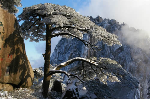 黄山旅游图片