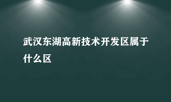 武汉东湖高新技术开发区属于什么区