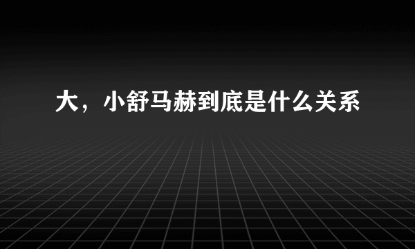 大，小舒马赫到底是什么关系