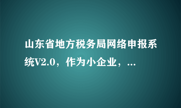 山东省地方税务局网络申报系统V2.0，作为小企业，所得税申报表该如何填写？要详细的，急求！