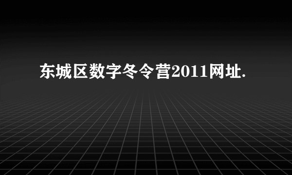 东城区数字冬令营2011网址.