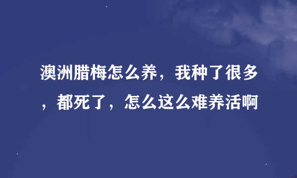 澳洲腊梅怎么养，我种了很多，都死了，怎么这么难养活啊