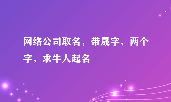 网络公司取名，带晟字，两个字，求牛人起名