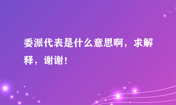 委派代表是什么意思啊，求解释，谢谢！