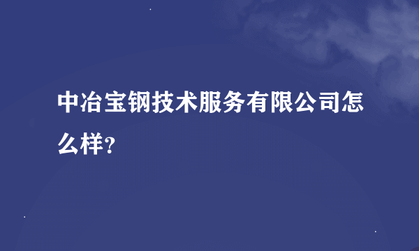 中冶宝钢技术服务有限公司怎么样？