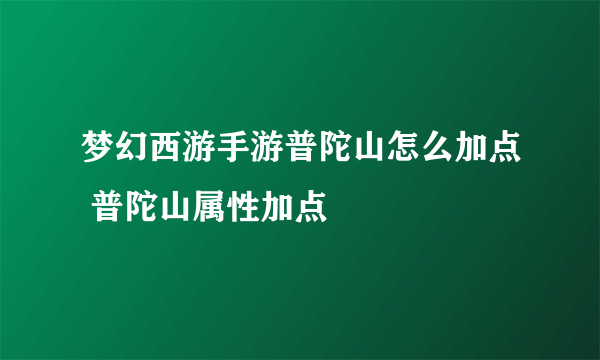 梦幻西游手游普陀山怎么加点 普陀山属性加点