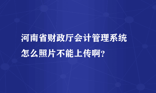 河南省财政厅会计管理系统 怎么照片不能上传啊？