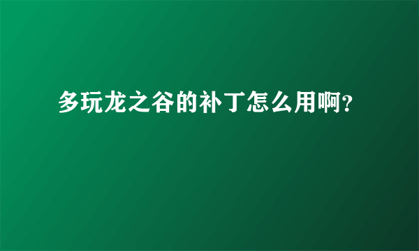 多玩龙之谷的补丁怎么用啊？