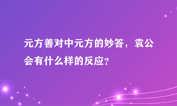 元方善对中元方的妙答，袁公会有什么样的反应？