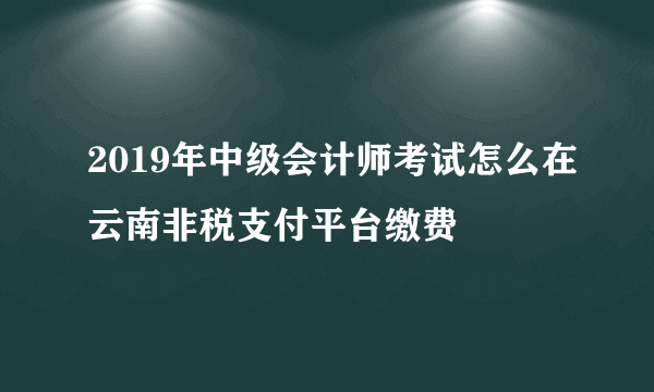 2019年中级会计师考试怎么在云南非税支付平台缴费