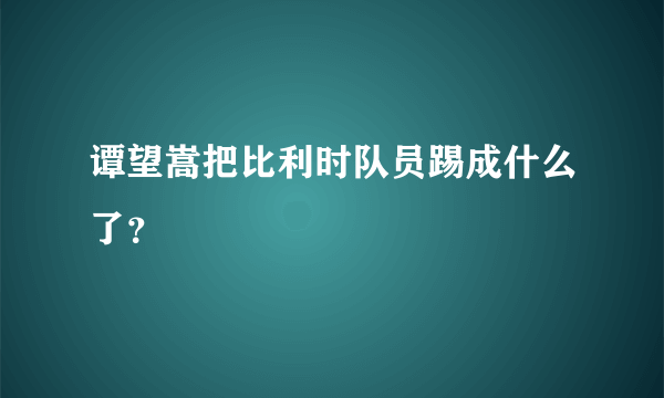 谭望嵩把比利时队员踢成什么了？