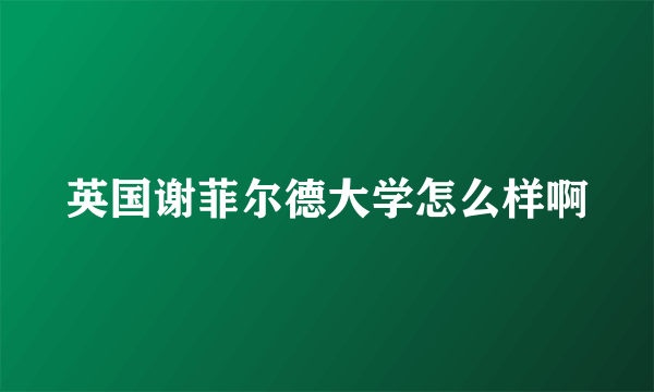 英国谢菲尔德大学怎么样啊