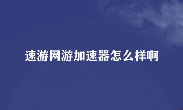 速游网游加速器怎么样啊