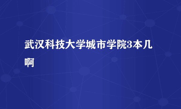 武汉科技大学城市学院3本几啊