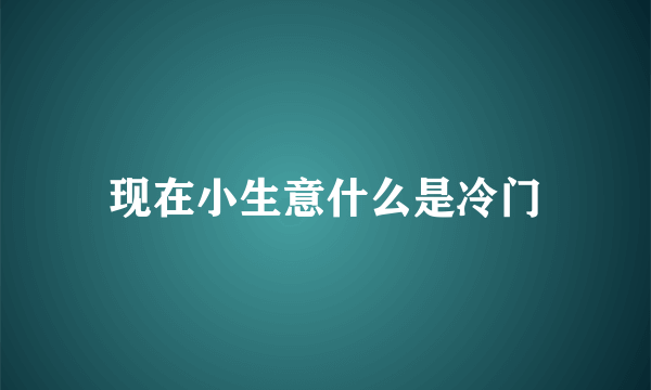 现在小生意什么是冷门