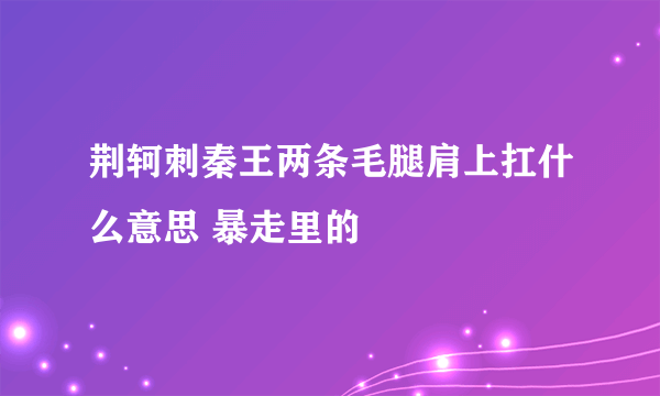 荆轲刺秦王两条毛腿肩上扛什么意思 暴走里的