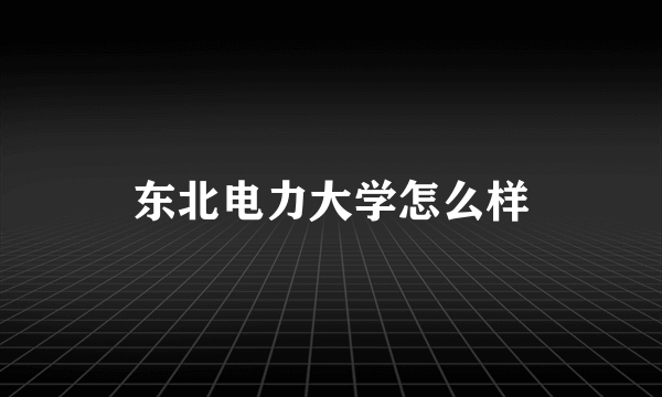 东北电力大学怎么样