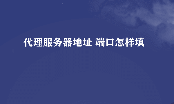 代理服务器地址 端口怎样填