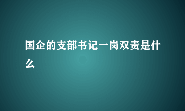 国企的支部书记一岗双责是什么