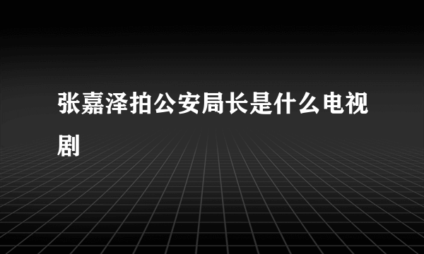 张嘉泽拍公安局长是什么电视剧