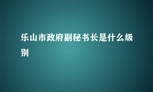 乐山市政府副秘书长是什么级别