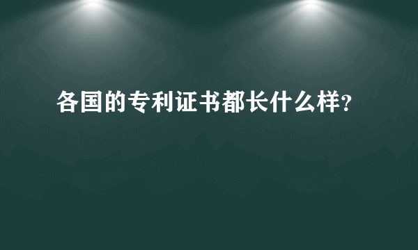 各国的专利证书都长什么样？