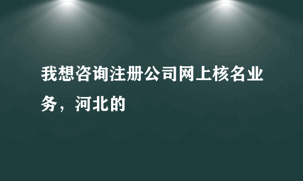 我想咨询注册公司网上核名业务，河北的