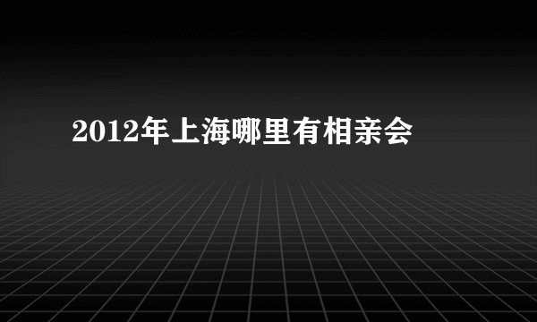 2012年上海哪里有相亲会