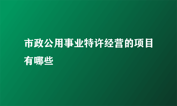 市政公用事业特许经营的项目有哪些