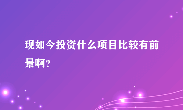 现如今投资什么项目比较有前景啊？