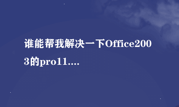 谁能帮我解决一下Office2003的pro11.msi问题啊？？