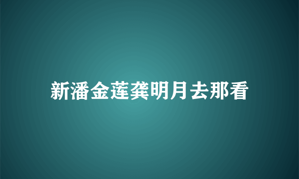 新潘金莲龚明月去那看