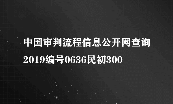 中国审判流程信息公开网查询2019编号0636民初300