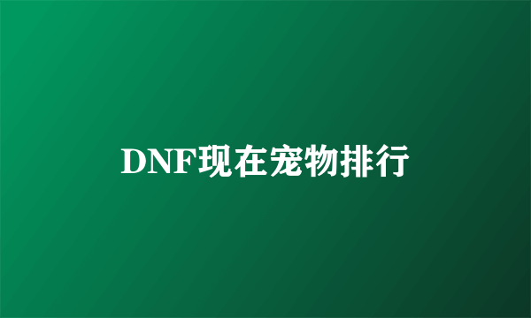 DNF现在宠物排行