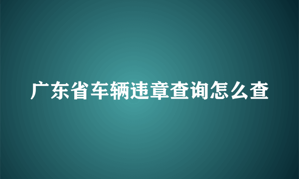 广东省车辆违章查询怎么查